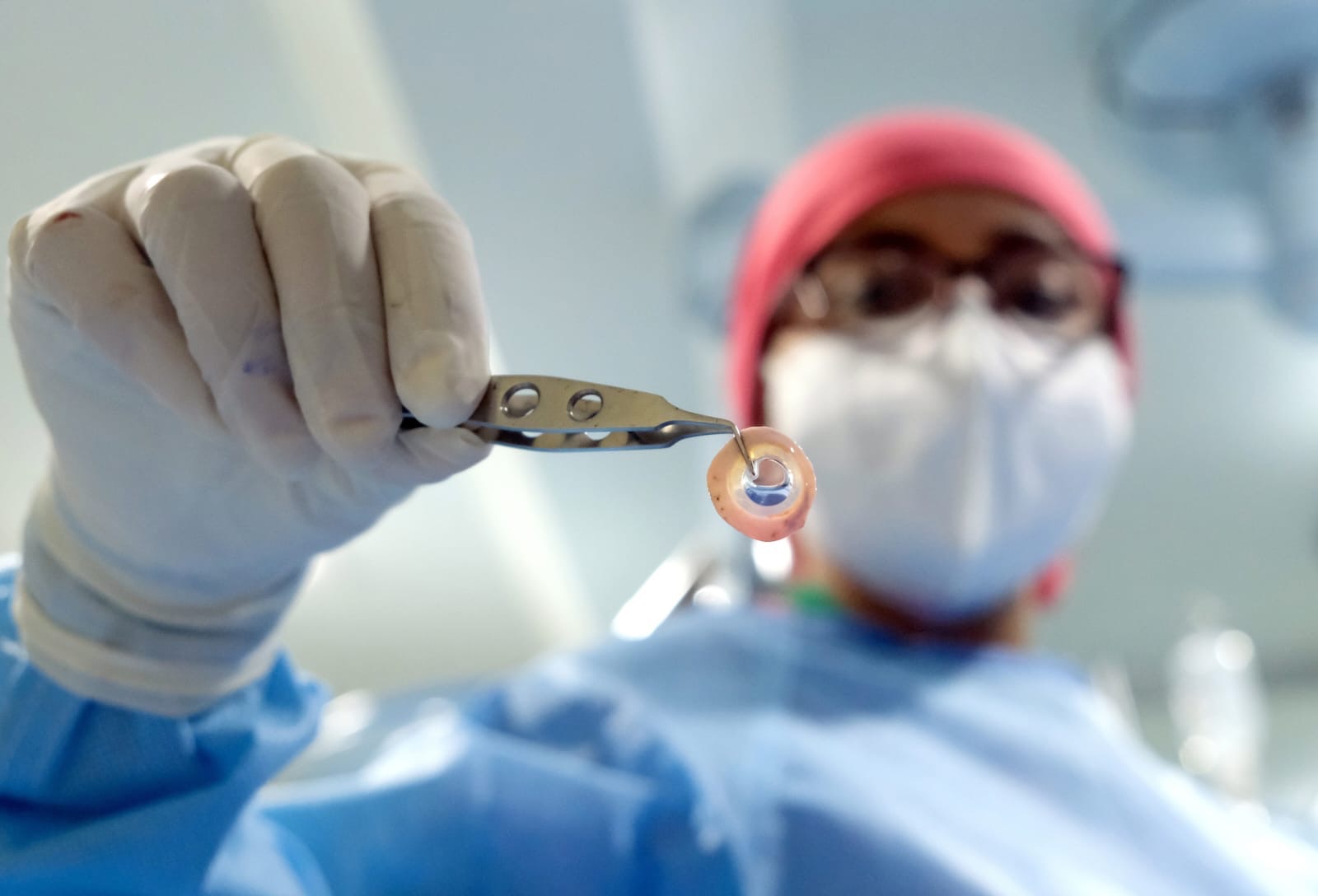 IMSS, institución líder en la obtención de órganos y tejidos de México