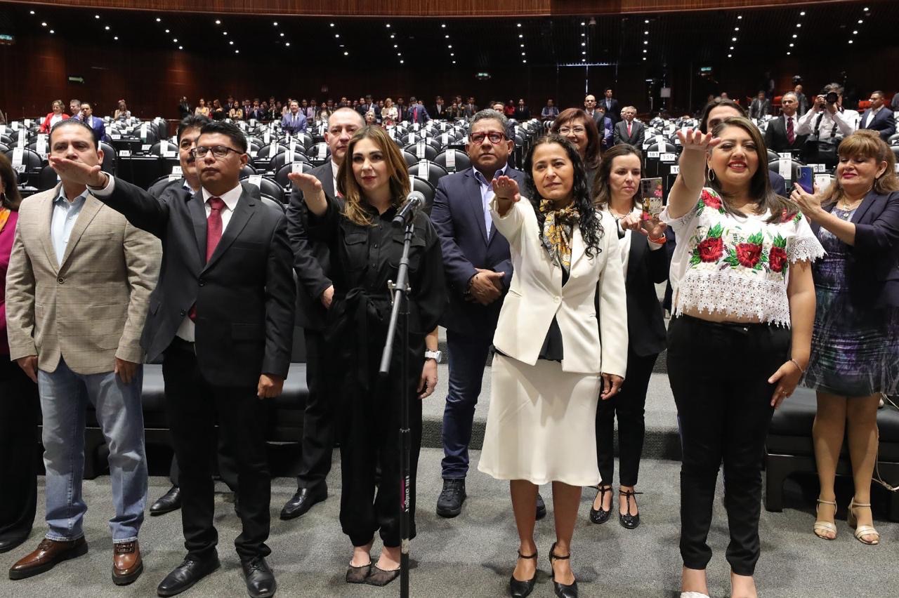 PIDEN LICENCIA 12 DIPUTADOS