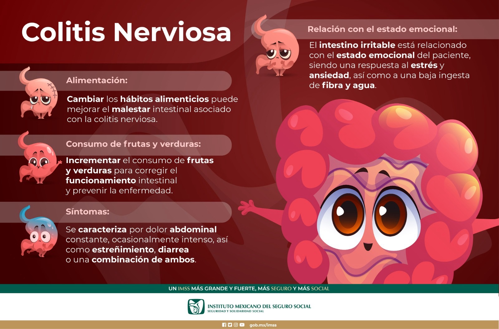 Recomienda IMSS Veracruz Sur sana alimentación para evitar colitis nerviosa