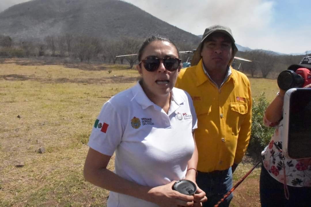 INCENDIOS ACABAN CON PULMONES ECOLÓGICOS
