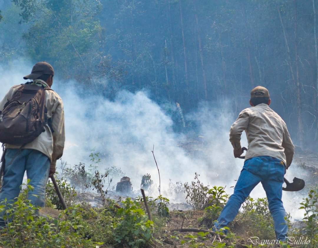ABANDONAN DIPUTADOS Y GOBIERNO A HABITANTES DE CALCAHUALCO