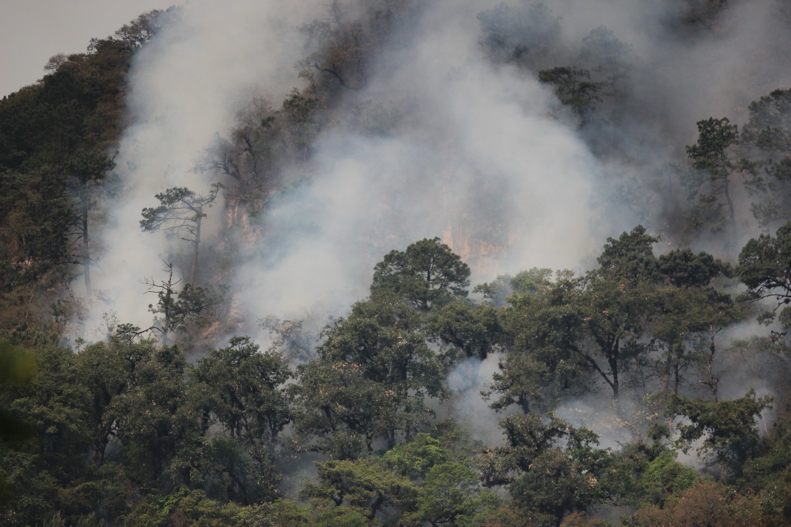 POBLADORES PIDEN ATAQUE AÉREO PARA COMBATIR INCENDIO FORESTAL