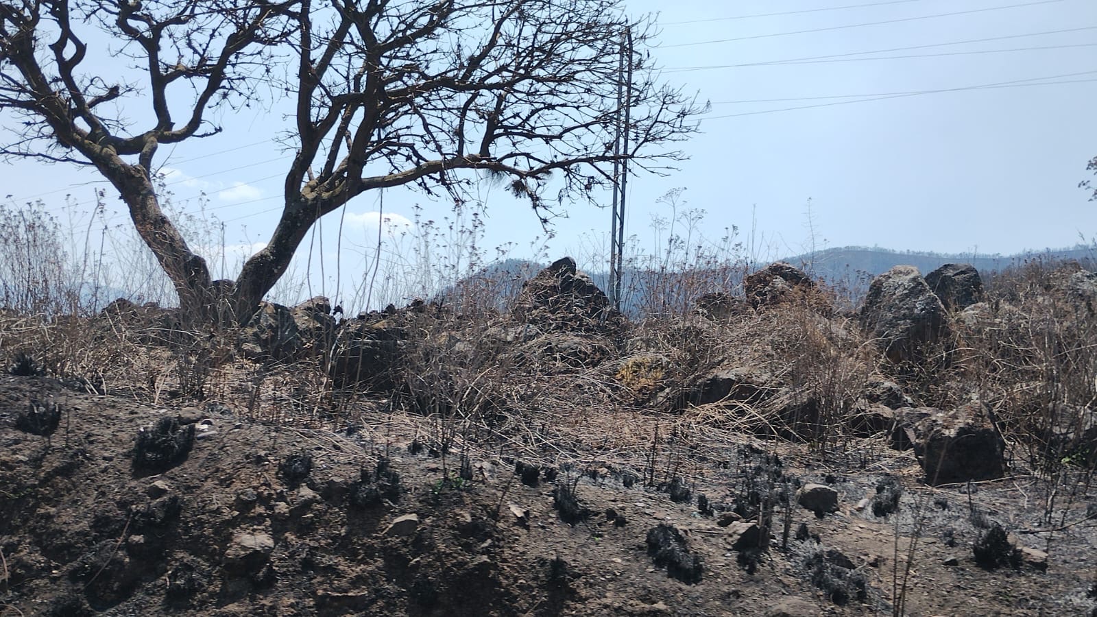 En represa el Infiernillo comienza su limpieza para prevenir riesgos por lluvias