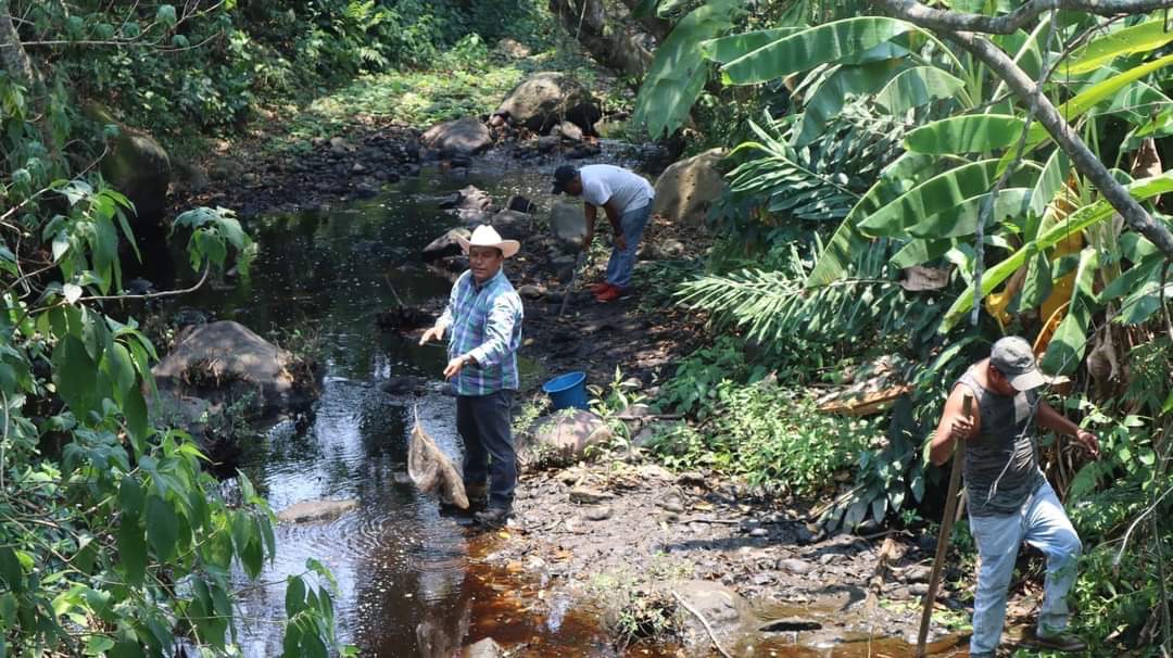 OMISA LA PMA POR CONTAMINACIÓN DE INGENIO SAN NICOLÁS