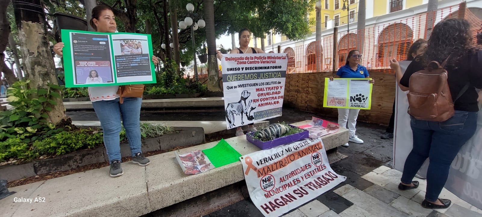 Inoperancia y omisión de la FEDAyCA denuncian animalistas jarochos
