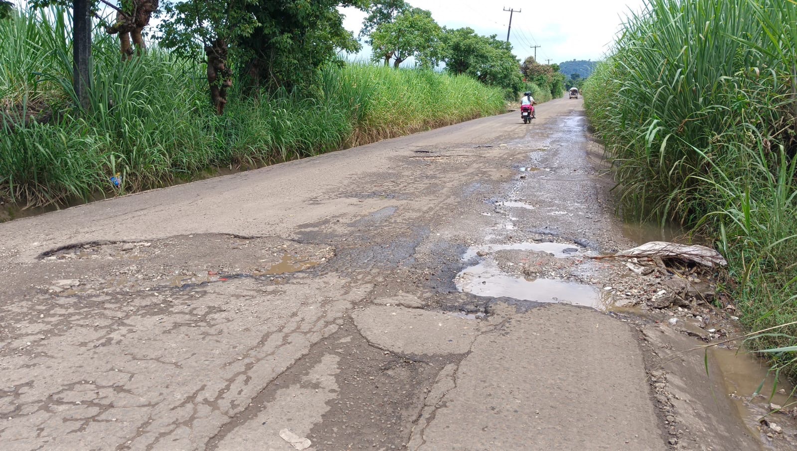 JUEZ FEDERAL OBLIGARÍA A JUAN MARTÍNEZ A BACHEAR