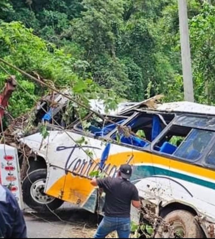 PIDEN AYUDA PARA NIÑA QUE VIAJABA EN EL TERRANOVA