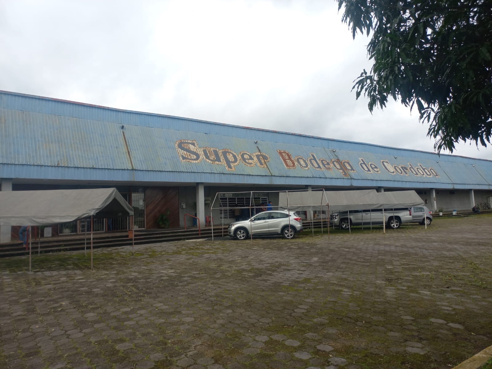 REVOCAN ADMINISTRACIÓN DE EMPRESAS DE CORPORATIVO ACEVEDO