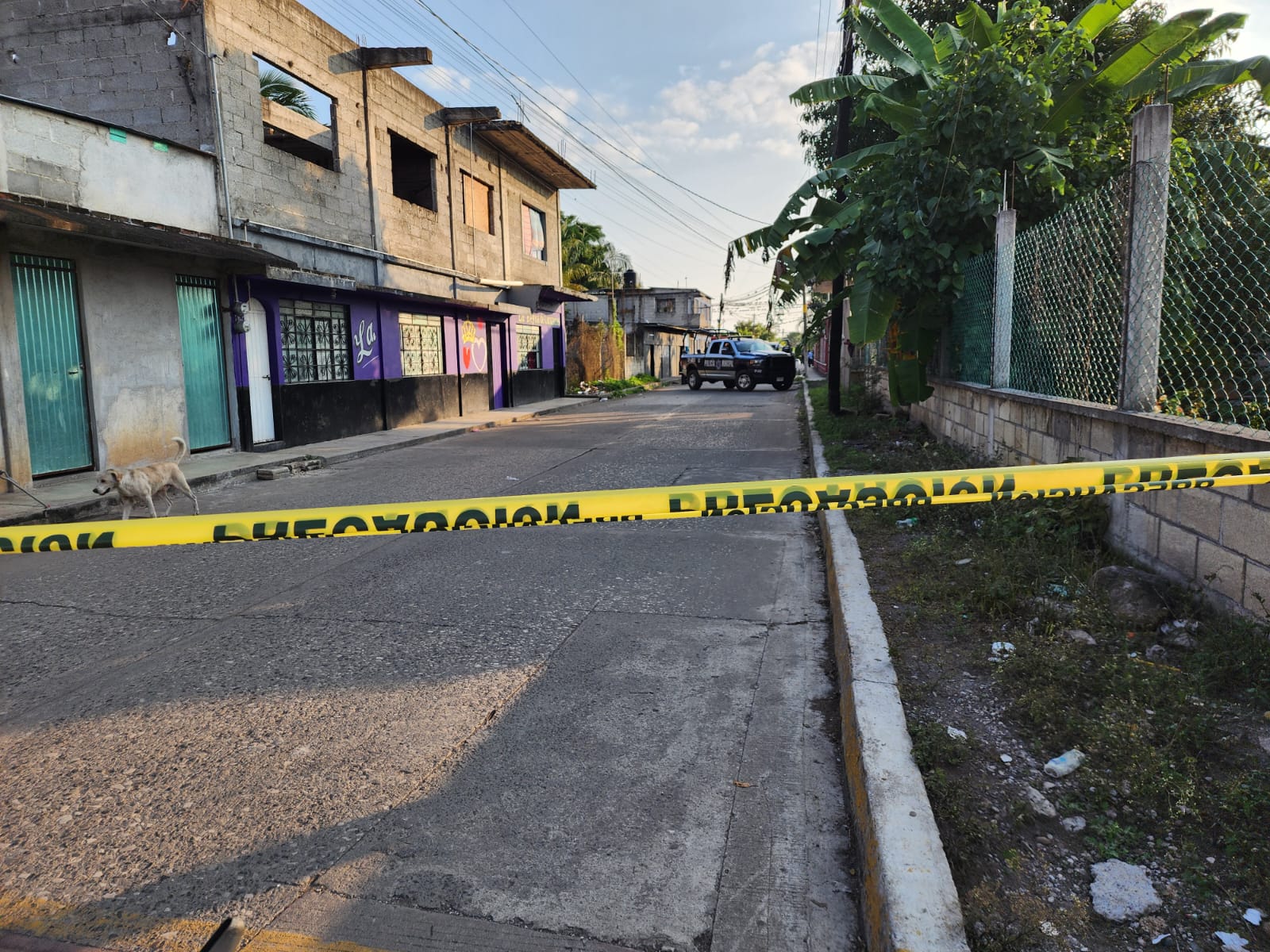 LO ENCUENTRAN SIN VIDA EN CALLES DE LA COLONIA REFORMA