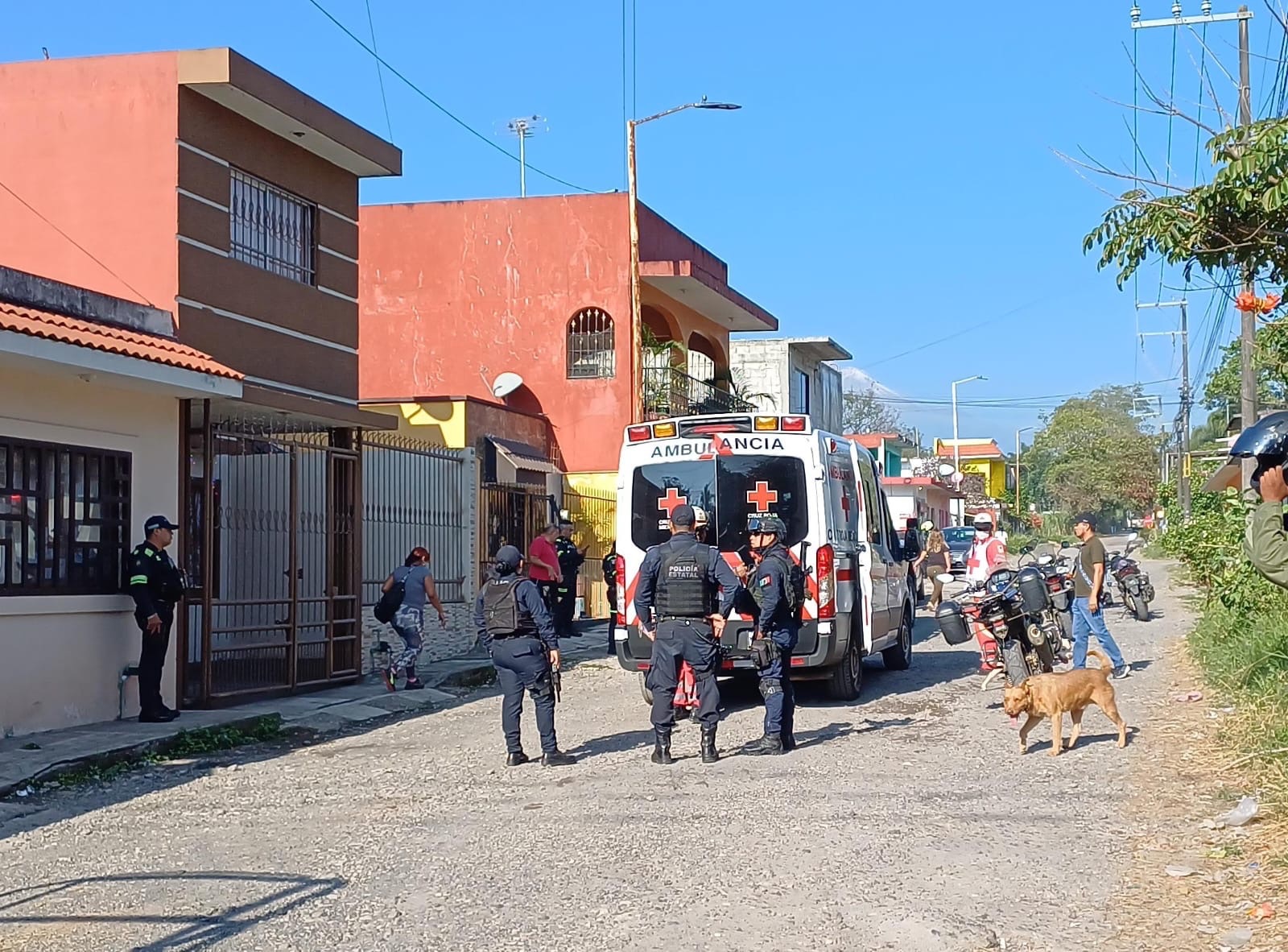 QUERÍA PARAR UNA PELEA DE PERROS Y HIERE A UN ABUELITO