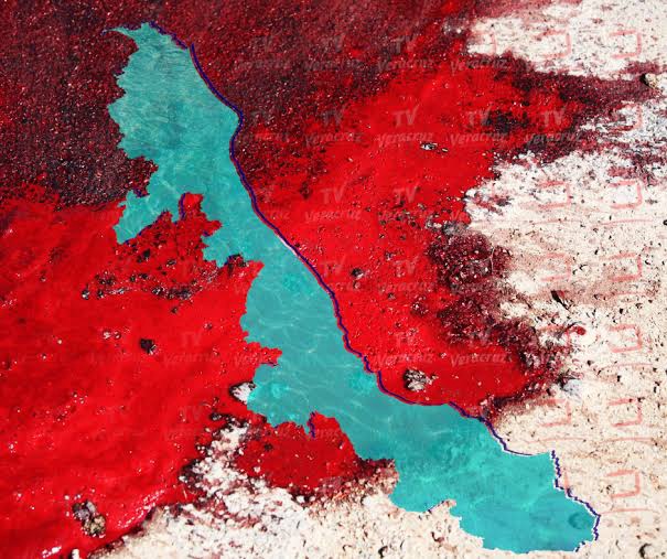 RECIBE ROCÍO NAHLE ESTADO INSEGURO