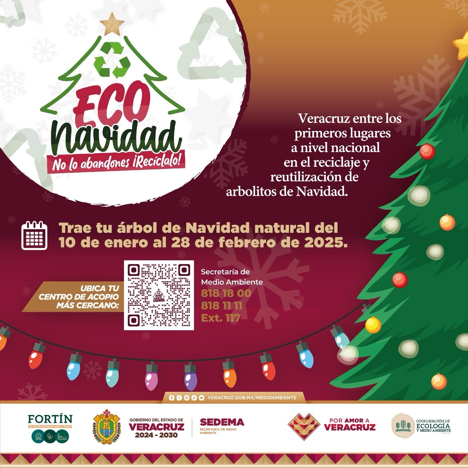 Instalarán módulo para reciclar pinos de navidad