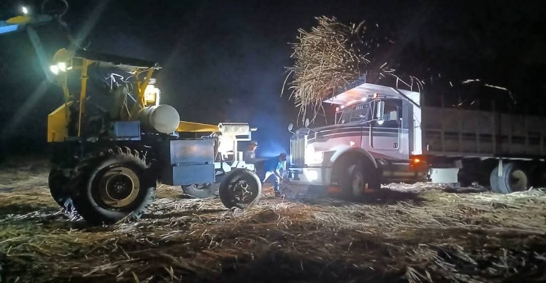 NEGRO PANORAMA PARA EL SECTOR CAÑERO POR INGRESO DE MATERIA PRIMA ACCIDENTADA