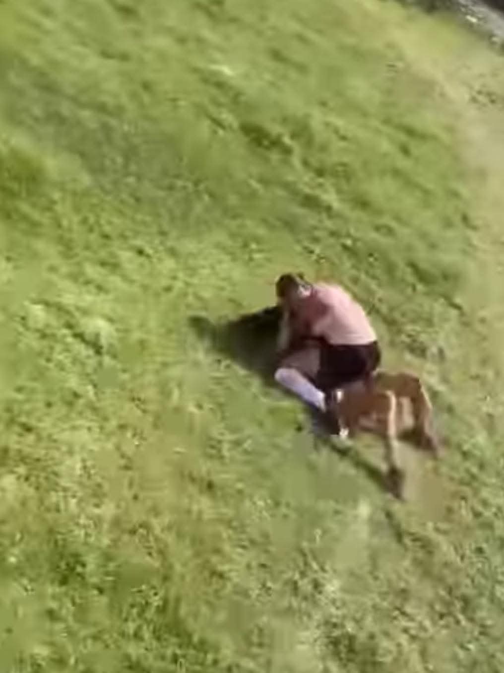 SEV OMISA ANTE AGRESIONES DE ESTUDIANTES