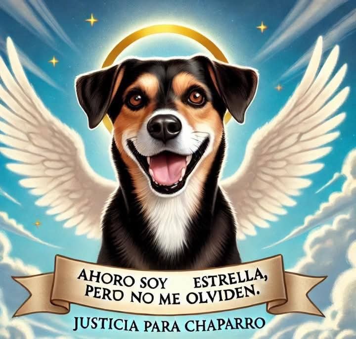 PIDEN JUSTICIA POR LA MUERTE DE «CHAPARRO»