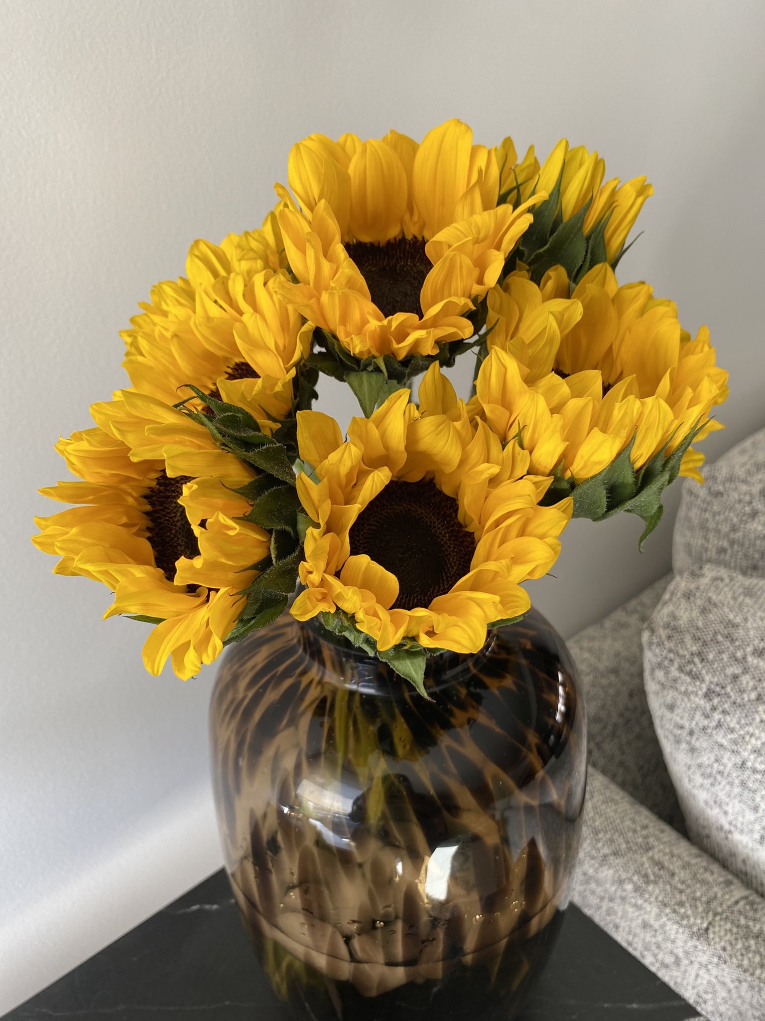 ¿POR QUÉ SE REGALAN FLORES AMARILLAS EL 21 DE MARZO?