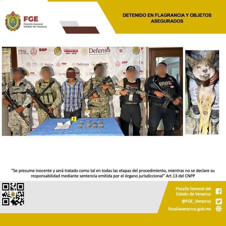 EN CATEO ASEGURAN COYOTE Y POSIBLE MARIGUANA