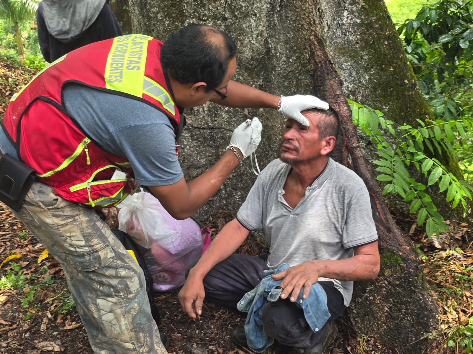 SEIS CORTADORES DE CAFÉ LESIONADOS POR ATAQUE DE ABEJAS