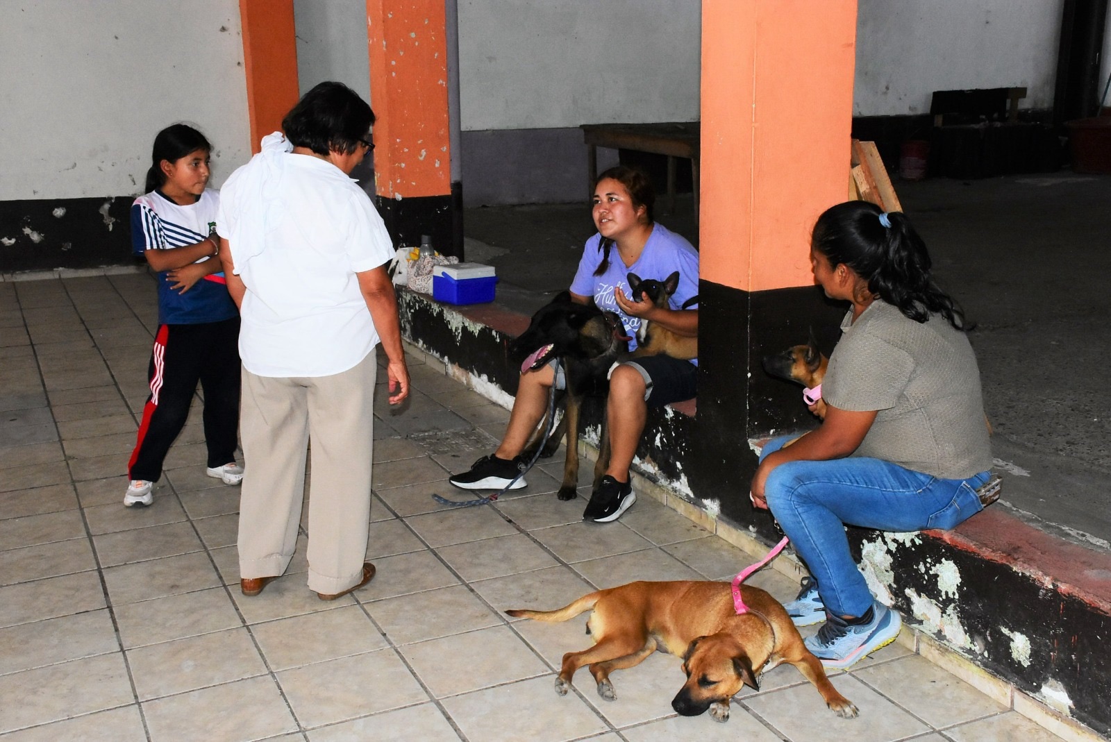 Realizan jornada de esterilización canina y felina en Monte Blanco