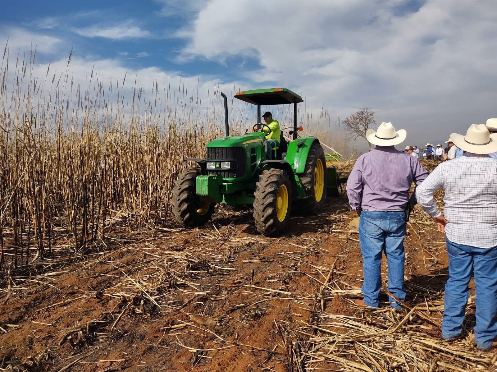 CAÑEROS PODRÍAN TOMAR CARRETERAS POR ALTA IMPORTACIÓN DE AZÚCAR