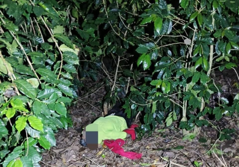 LOCALIZAN SIN VIDA A DESAPARECIDO