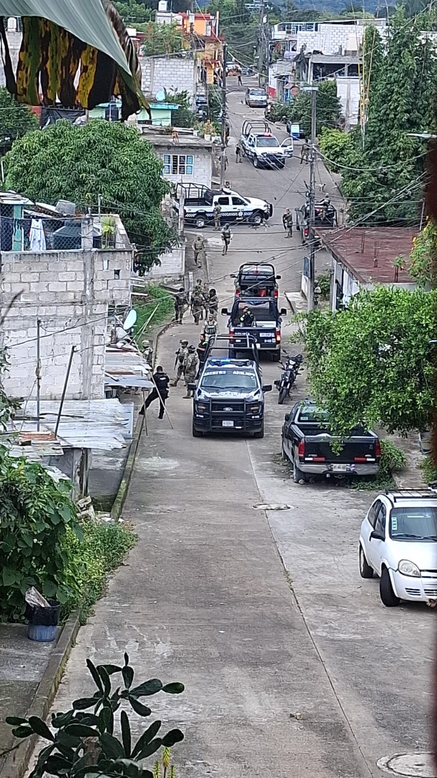 DETIENEN A SEIS EN OPERATIVO Y CATEO