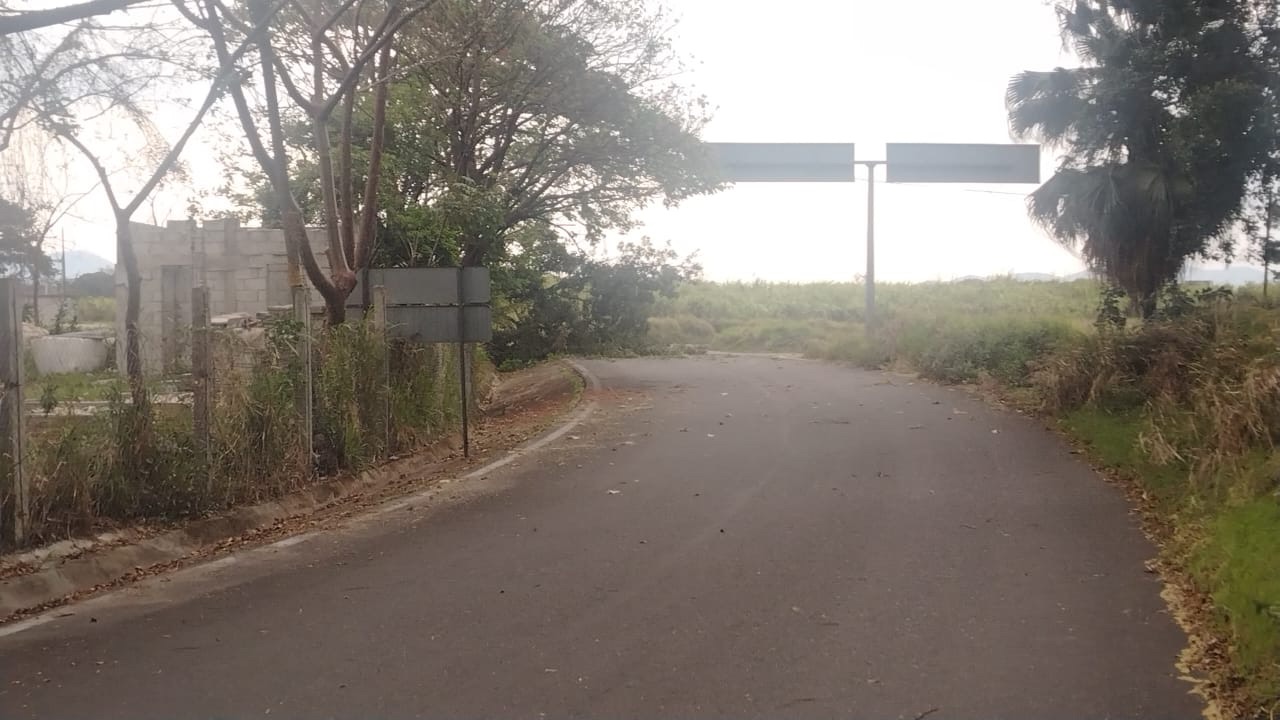 SURADA DEJA DAÑOS EN LA REGIÓN