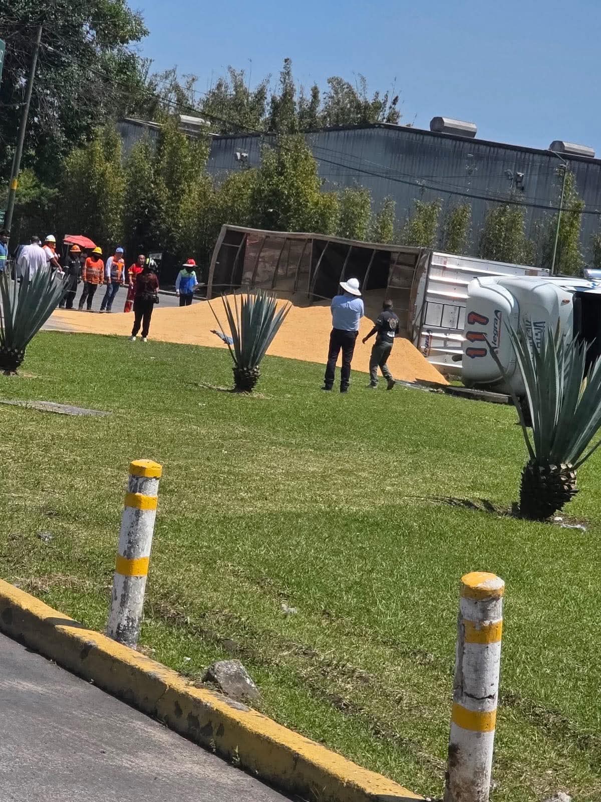 VUELCA TRÁILER CARGADO DE CEBADA
