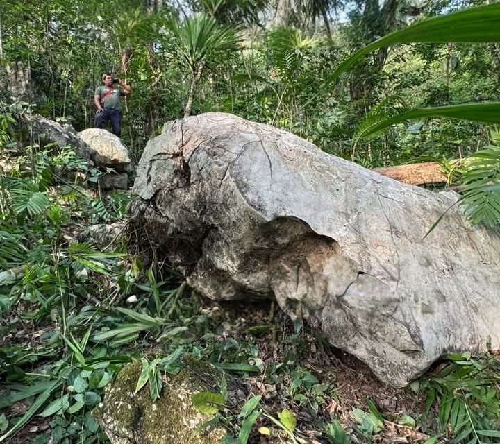 MUERE SEPULTADO POR ENORME ROCA