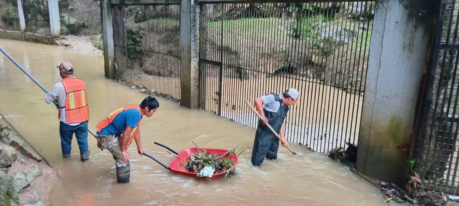 DESAZOLVAN FILTROS NARUTALES DE AGUA POR ACUMULACIÓN DE BASURA