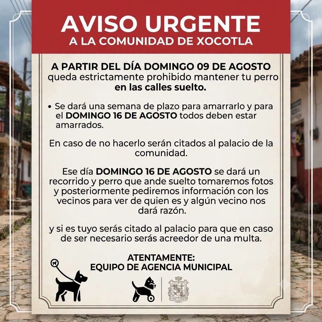 AGENTE MUNICIPAL QUIERE SANCIONAR A CIUDADANÍA POR PERROS CALLEJEROS