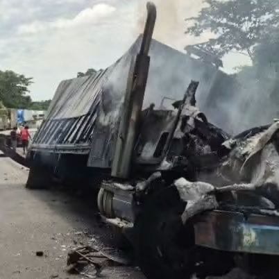 TORTON CARGADO CON PIÑAS TERMINA INCENDIADO EN LA AUTOPISTA